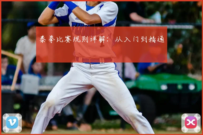 泰拳比赛规则详解：从入门到精通