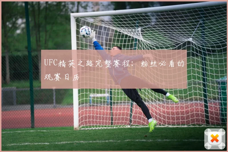 UFC精英之路完整赛程：粉丝必看的观赛日历