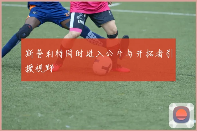 斯普利特同时进入公牛与开拓者引援视野