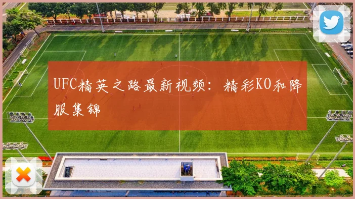UFC精英之路最新视频：精彩KO和降服集锦