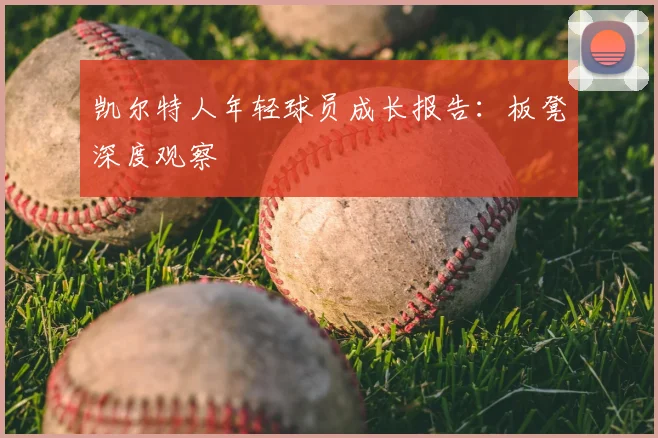 凯尔特人年轻球员成长报告：板凳深度观察