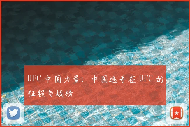 UFC 中国力量：中国选手在 UFC 的征程与战绩