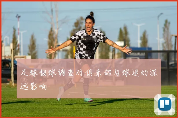 足球假球调查对俱乐部与球迷的深远影响