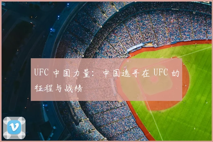 UFC 中国力量:中国选手在 UFC 的征程与战绩
