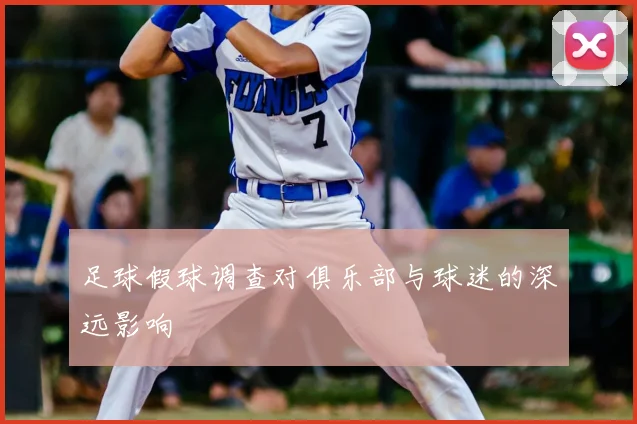 足球假球调查对俱乐部与球迷的深远影响