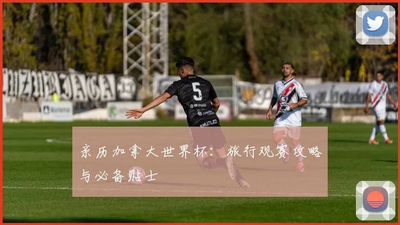 亲历加拿大世界杯：旅行观赛攻略与必备贴士