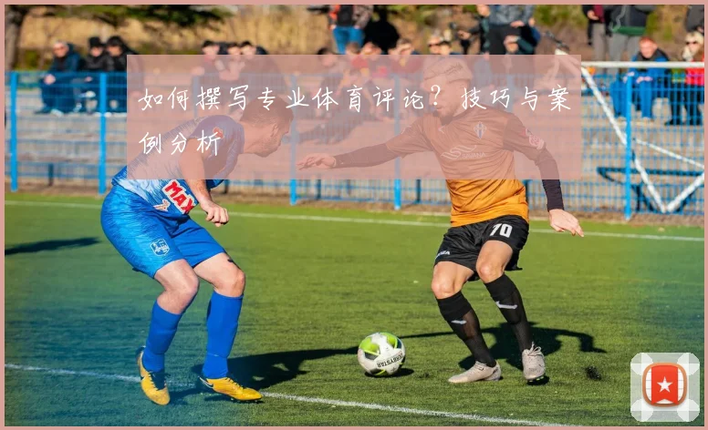 如何撰写专业体育评论？技巧与案例分析