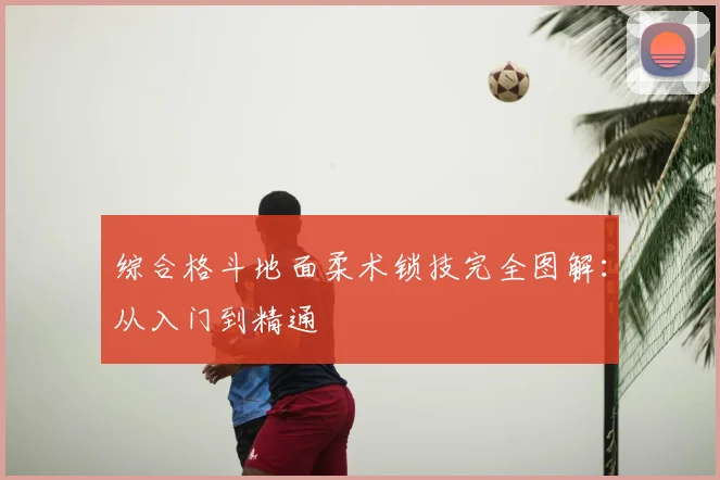 综合格斗地面柔术锁技完全图解：从入门到精通
